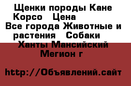 Щенки породы Кане-Корсо › Цена ­ 25 000 - Все города Животные и растения » Собаки   . Ханты-Мансийский,Мегион г.